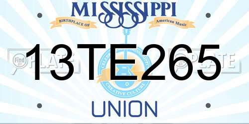 13TE265 Mississippi License Plate