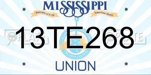 13TE268 Mississippi License Plate