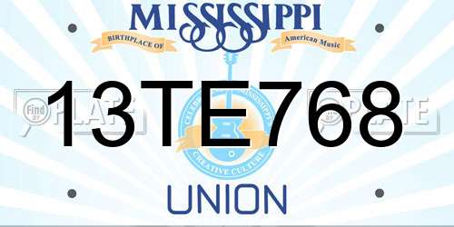 13TE768 Mississippi License Plate