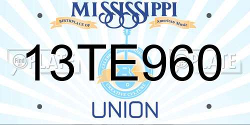 13TE960 Mississippi License Plate