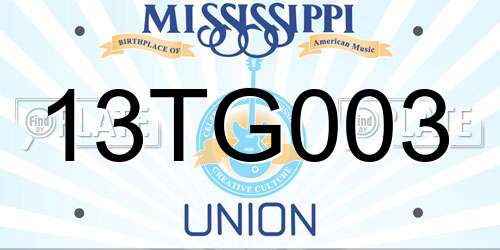 13TG003 Mississippi License Plate