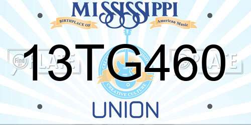 13TG460 Mississippi License Plate