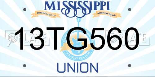 13TG560 Mississippi License Plate