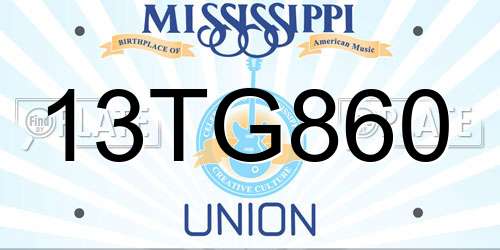 13TG860 Mississippi License Plate