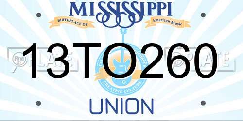 13TO260 Mississippi License Plate
