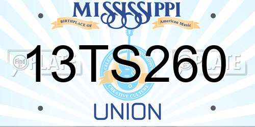 13TS260 Mississippi License Plate