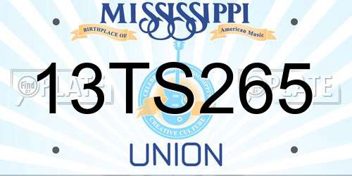 13TS265 Mississippi License Plate