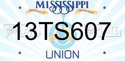 13TS607 Mississippi License Plate