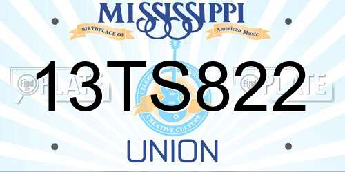 13TS822 Mississippi License Plate