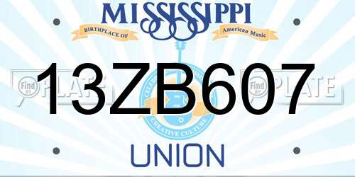 13ZB607 Mississippi License Plate