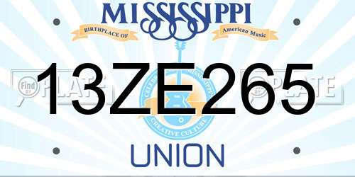 13ZE265 Mississippi License Plate