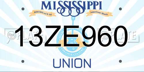 13ZE960 Mississippi License Plate