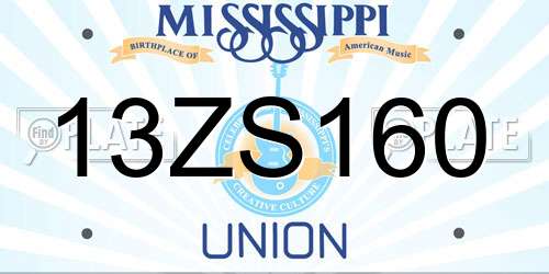13ZS160 Mississippi License Plate