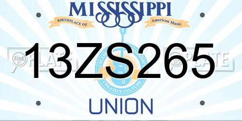 13ZS265 Mississippi License Plate