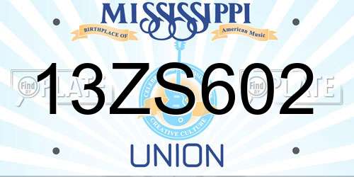 13ZS602 Mississippi License Plate