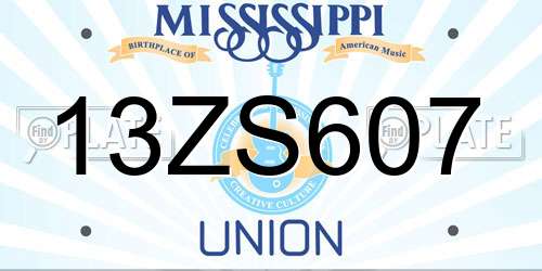 13ZS607 Mississippi License Plate