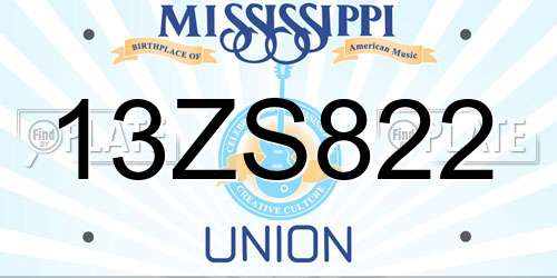 13ZS822 Mississippi License Plate