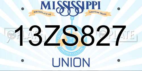 13ZS827 Mississippi License Plate