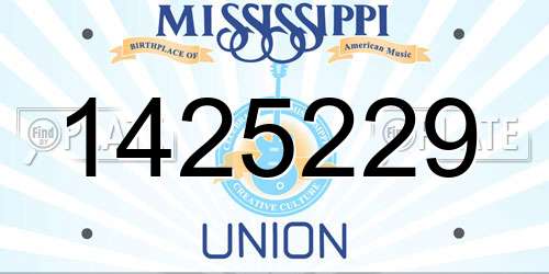 1425229 Mississippi License Plate