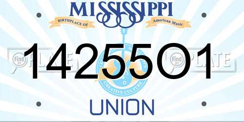 14255O1 Mississippi License Plate