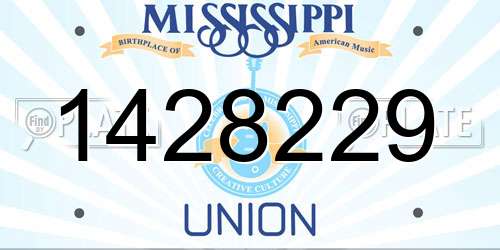 1428229 Mississippi License Plate