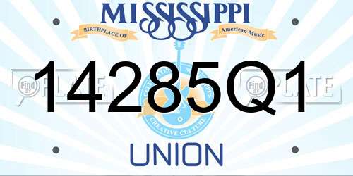 14285Q1 Mississippi License Plate