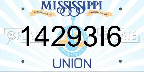 14293I6 Mississippi License Plate