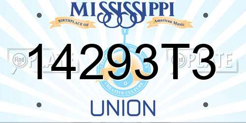 14293T3 Mississippi License Plate