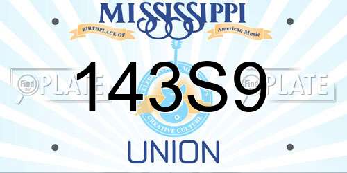 143S9 Mississippi License Plate