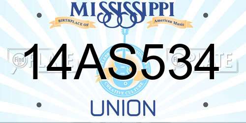 14AS534 Mississippi License Plate