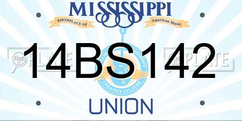 14BS142 Mississippi License Plate