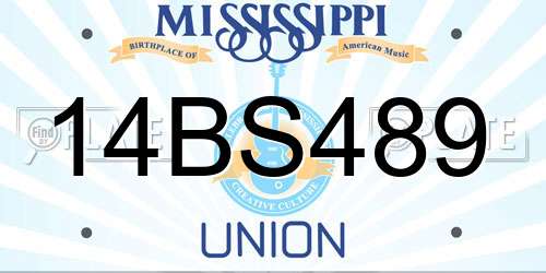 14BS489 Mississippi License Plate