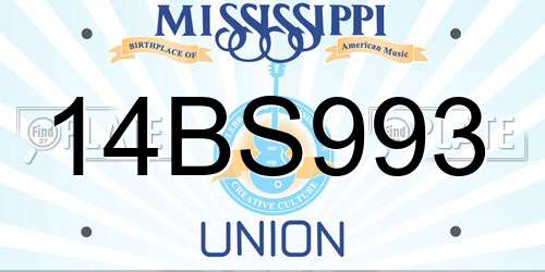 14BS993 Mississippi License Plate
