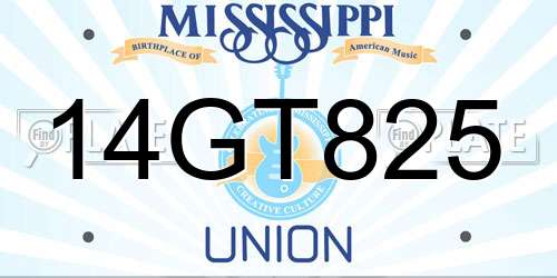14GT825 Mississippi License Plate