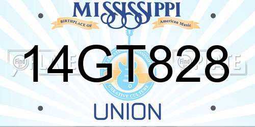 14GT828 Mississippi License Plate