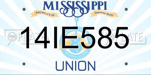 14IE585 Mississippi License Plate