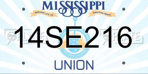 14SE216 Mississippi License Plate