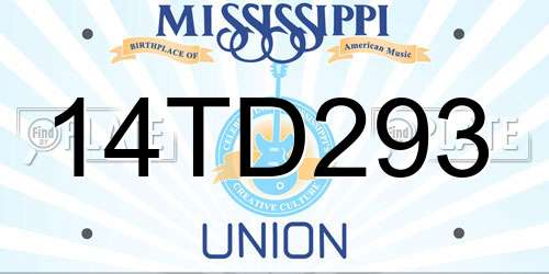 14TD293 Mississippi License Plate