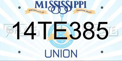 14TE385 Mississippi License Plate