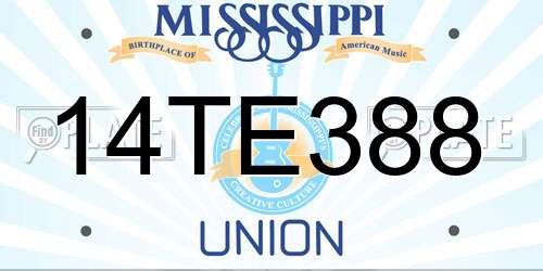 14TE388 Mississippi License Plate