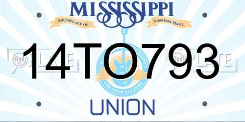 14TO793 Mississippi License Plate