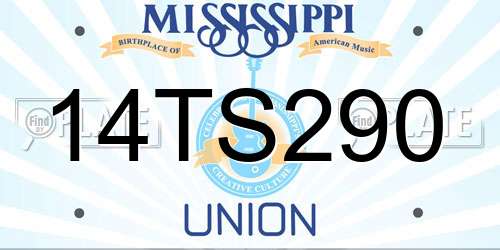 14TS290 Mississippi License Plate