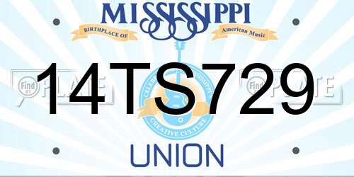 14TS729 Mississippi License Plate