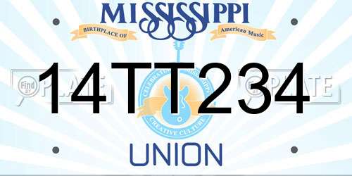 14TT234 Mississippi License Plate