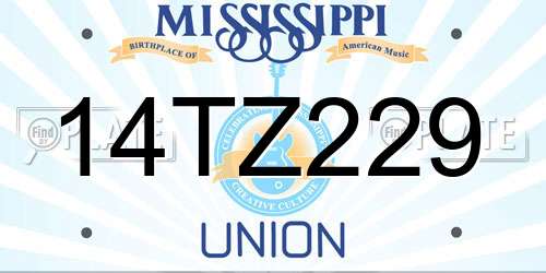 14TZ229 Mississippi License Plate