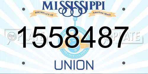 1558487 Mississippi License Plate