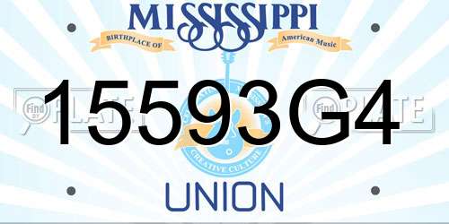 15593G4 Mississippi License Plate