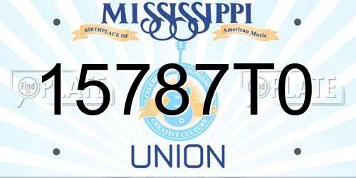 15787T0 Mississippi License Plate