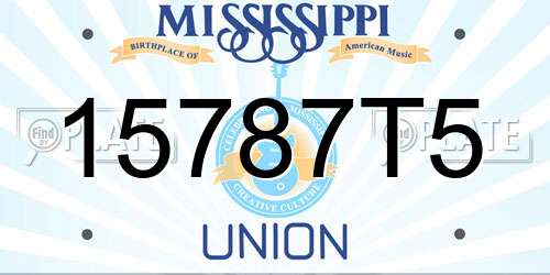 15787T5 Mississippi License Plate