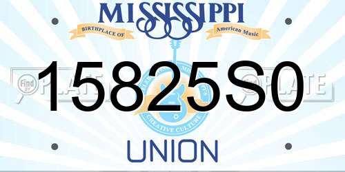 15825S0 Mississippi License Plate